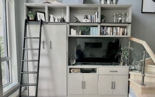 Wall unit with a TV stand, storage space, and hidden wall bed
