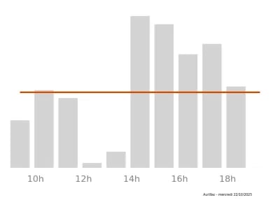 Voir le trafic sur Google maps https://maps.google.com/maps?cid=17051437042338694048