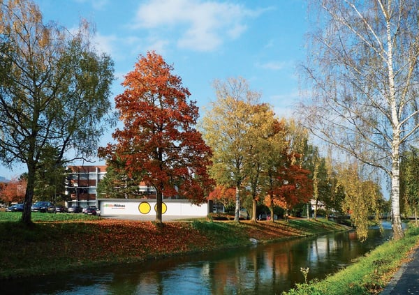 Herbst Gemeindeverwaltung Widnau
