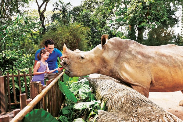 シンガポールが世界に誇る3大動物園【シンガポール】