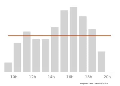 Voir le trafic sur Google maps https://maps.google.com/maps?cid=1085002726892145177