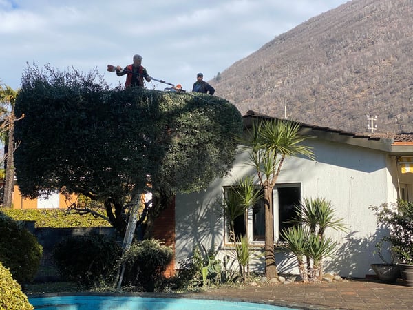 Selim Giardini - Potature