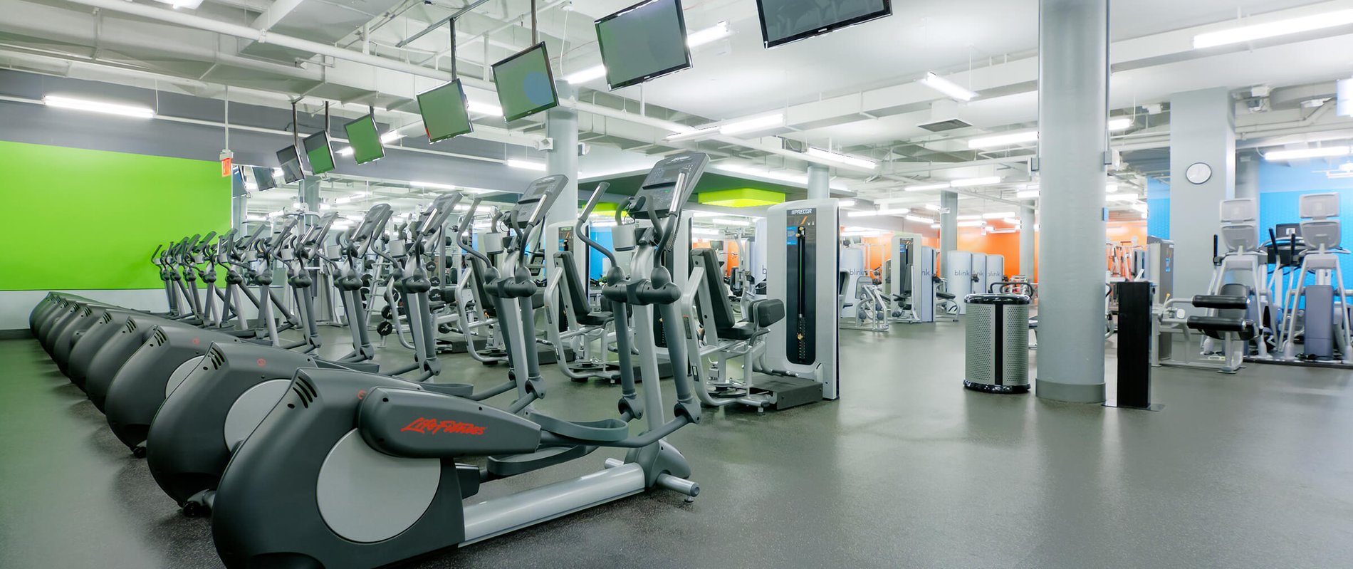 Paramus La Fitness at Johnny Duckworth blog