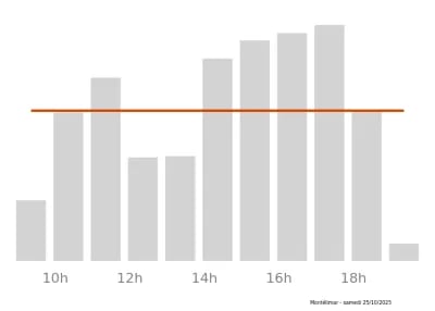 Voir le trafic sur Google maps https://maps.google.com/maps?cid=12798831077729360655