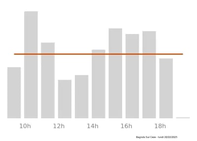Voir le trafic sur Google maps https://maps.google.com/maps?cid=338688934941276896