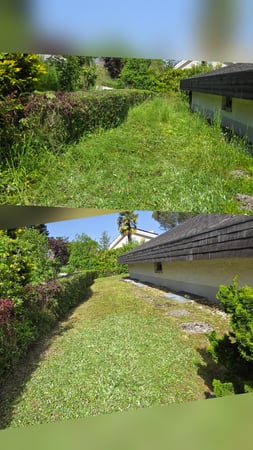 Entretien jardin