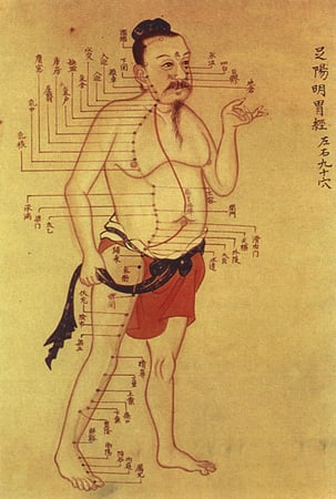 Praxis Dr. med. CHEN. Aus einem Anatomieatlas der Han-Dynastie.
