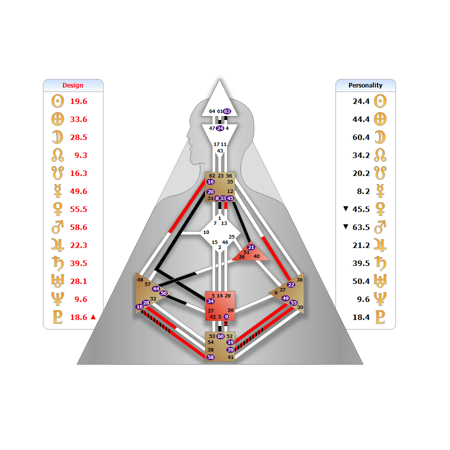 Human Design, Human Design Reading, Human Design Körpergrafik