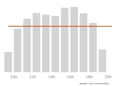 Voir le trafic sur Google maps https://maps.google.com/maps?cid=1085002726892145177