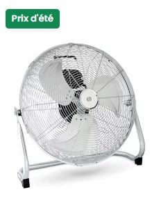 Ventilateur ESSENTIELB EVT-P 45s