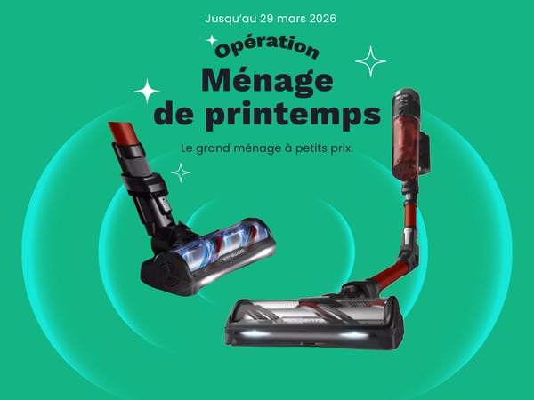 Aspirateur balai ROWENTA X Force Flex 13.60 animal RH9A73WO