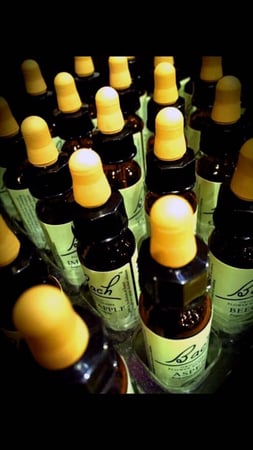 Essence Harmony - Neyruz