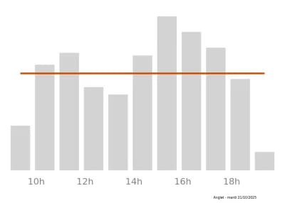 Voir le trafic sur Google maps https://maps.google.com/maps?cid=10200666423972516261