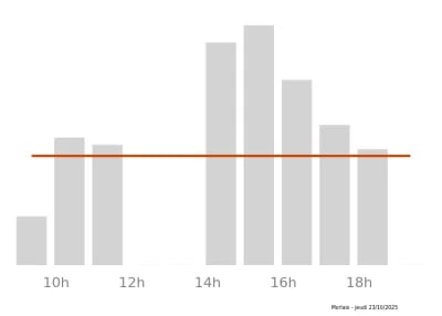 Voir le trafic sur Google maps https://maps.google.com/maps?cid=14335346544995821241