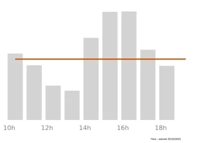 Voir le trafic sur Google maps https://maps.google.com/maps?cid=11388074790513061085