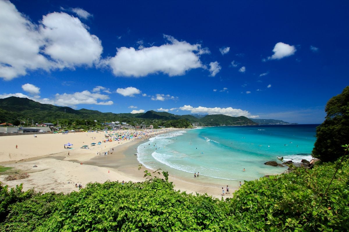 【伊豆観光モデルコース】日帰りや1泊2日で巡る絶景・温泉・グルメ