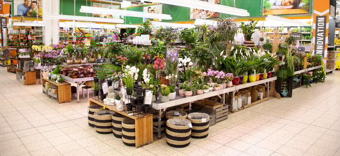 Dein OBI Markt Neubrandenburg Süd, Mirabellenstr. 2