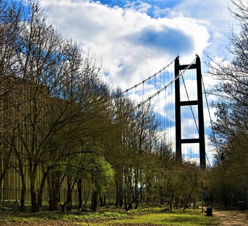 Shot of the Humber Bridge through trees