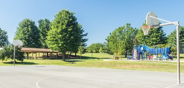 Blueberry Hill Park