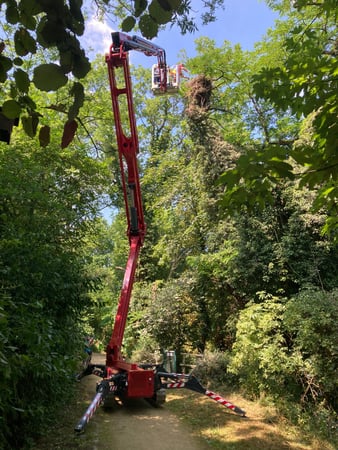 WS Skyworker Spezialhebebühne