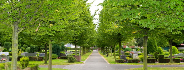 An der Johanneskirche (Norden) - Ev. Kirchengemeinde Hamm (Friedhof)