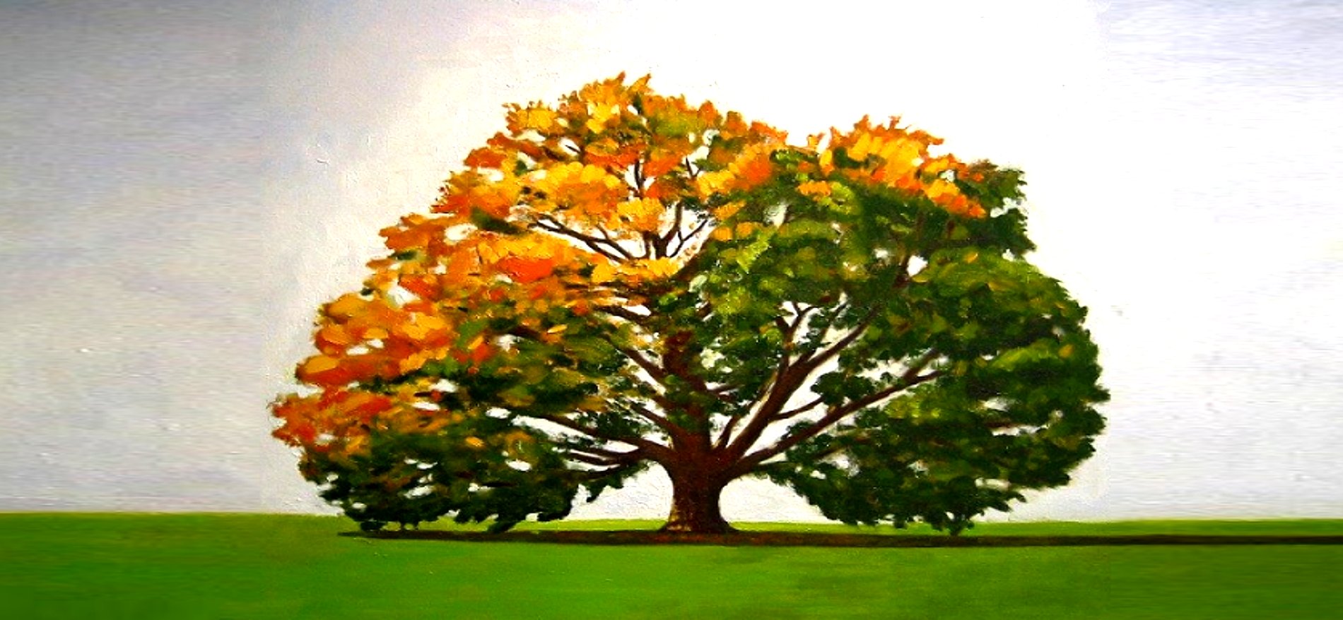 What's the Difference Between Saving and Investing? Copper Beech Tree