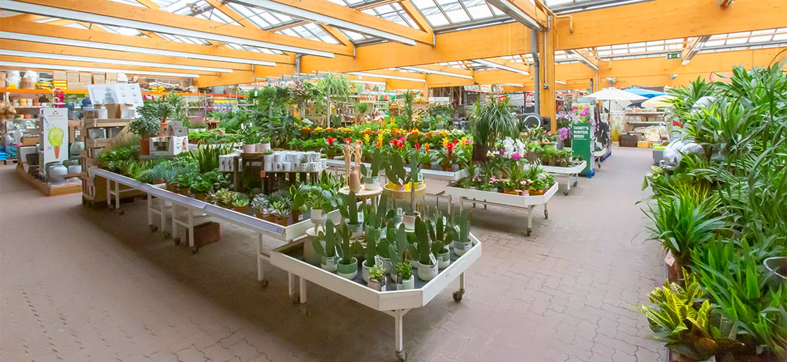 Dein OBI Markt Bückeburg, Kreuzbreite 5