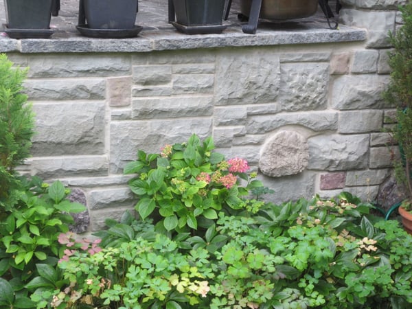 Verspielte Mauer mit Bepflanzung  von garbatec ag in Beringen