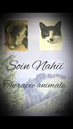 Essence Harmony - Neyruz