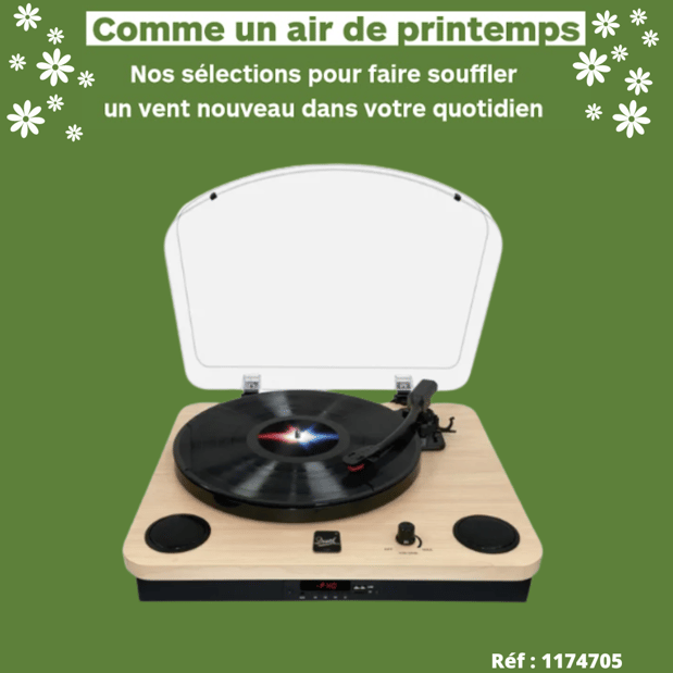 Platine vinyle Dual DL-P06 BT in & out