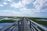 Photo of Sanctuary Pointe Group- Morgan Stanley Private Wealth Advisors