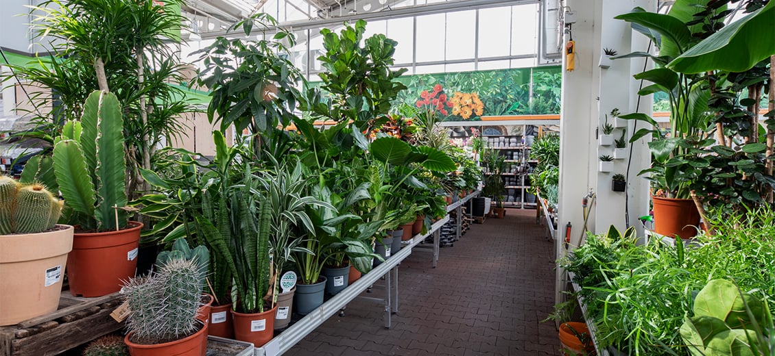 Dein OBI Markt Leverkusen, RobertBlumStraße 47