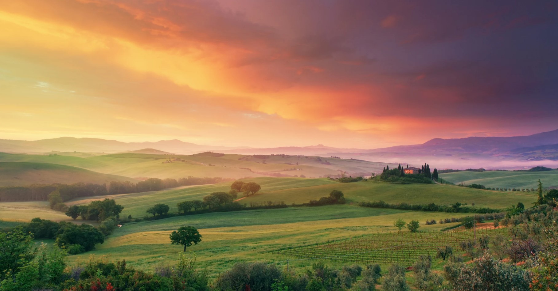 Hero Background Image