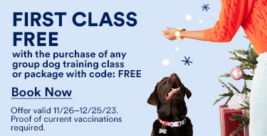 First Class Free with the purchase of any group dog training class or package with code: Free