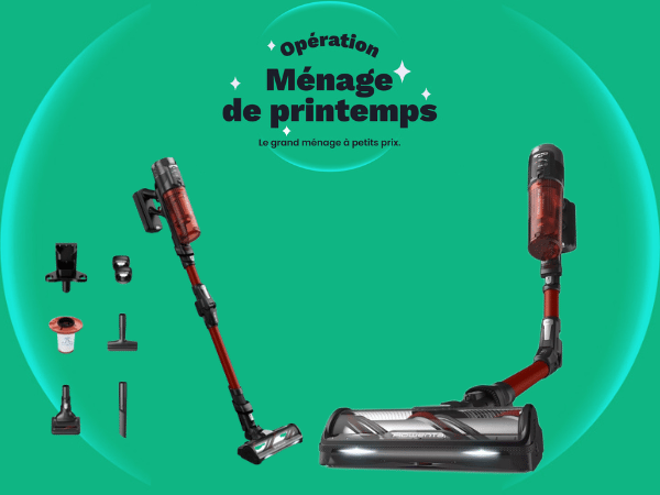 ASPI BALAI ROWENTA X-FORCE FLEX 13.60 AN