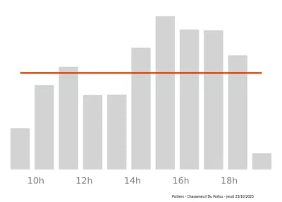 Voir le trafic sur Google maps https://maps.google.com/maps?cid=13962488517531307238