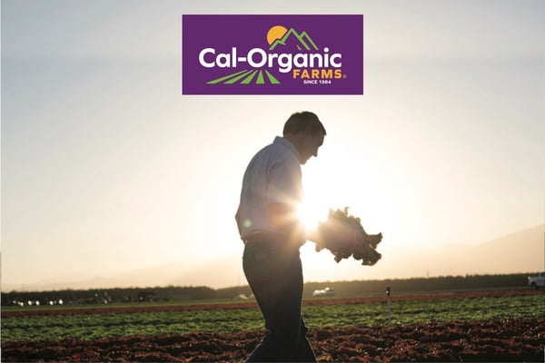 a man at cal organic farms