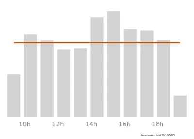 Voir le trafic sur Google maps https://maps.google.com/maps?cid=17140079125618315965