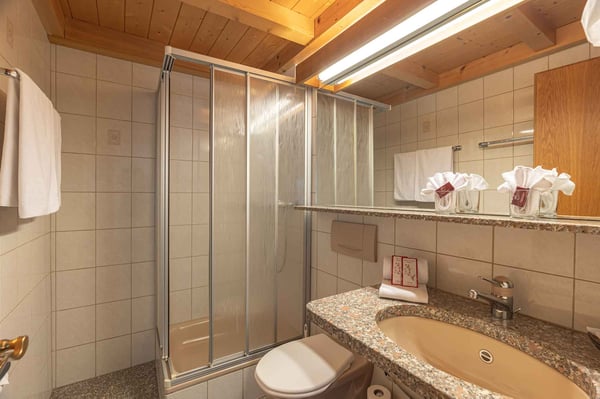 WC Dusche Doppelzimmer Hotel Alpenblick