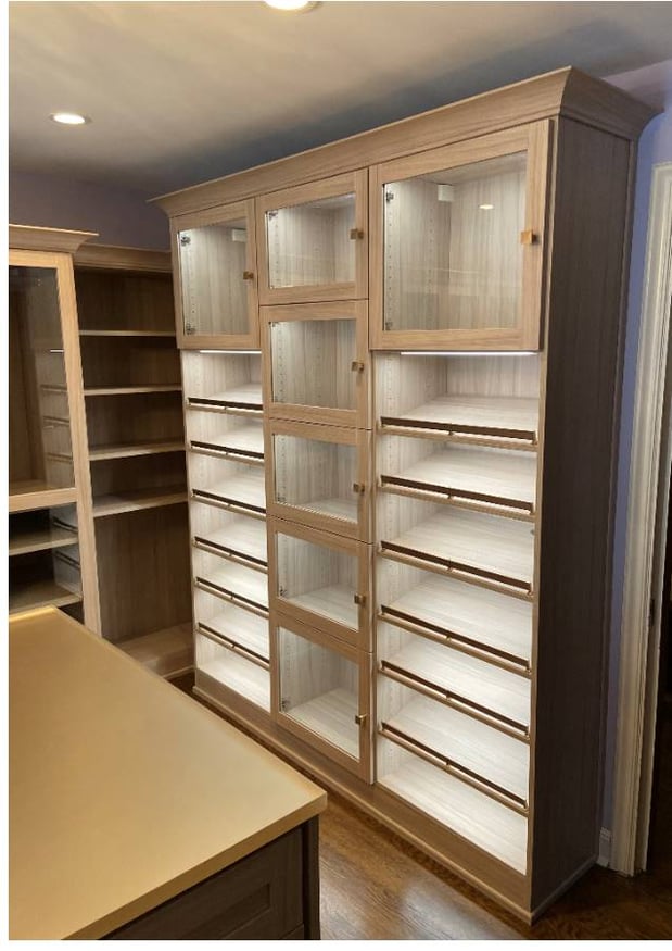 Walk-in with lighted shoe shelves and glass doors