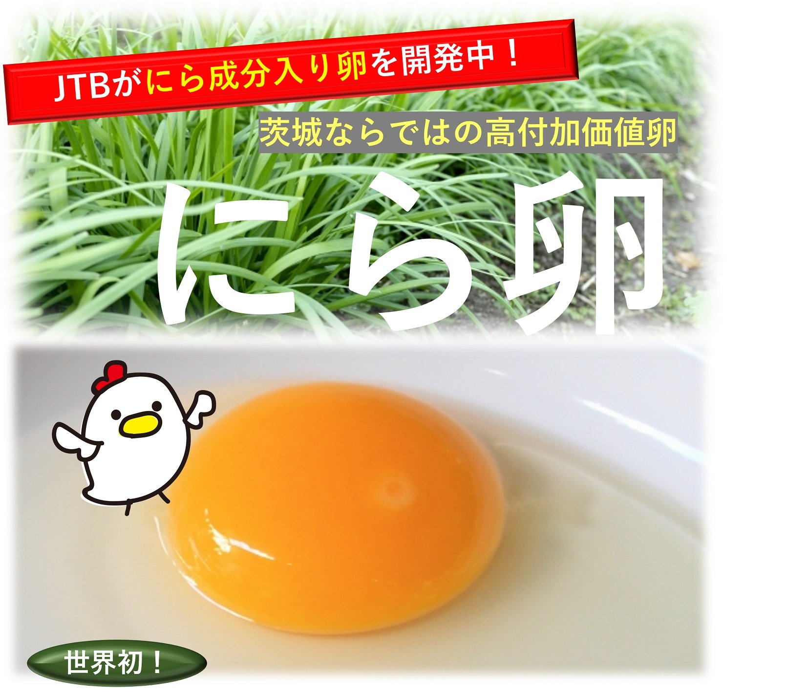 ＼世界初！／にら卵づくりに挑戦中！