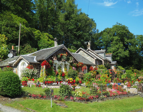 BSD Service GmbH, Vielfältige, professionelle Reinigungsservices und Hauswartungsservices aus einer Hand, Hauswartung, Unterhaltsreinigung, Logistik, Gartenunterhalt, Winterdienst, Baureinigung, 8307 Effretikon Kanton Zürich / 7000 Chur Graubünden