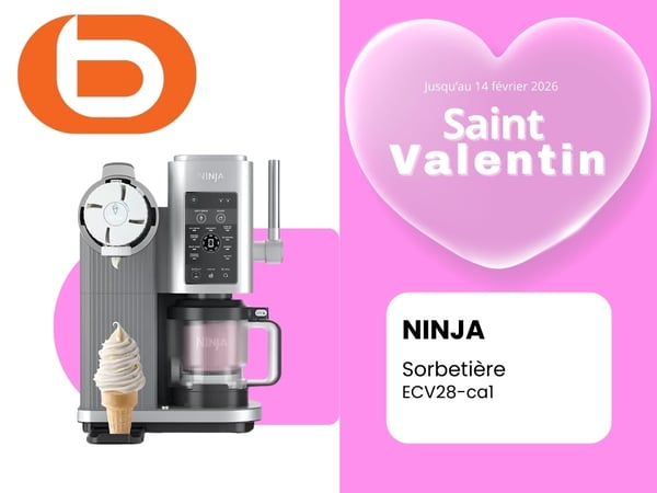 Turbine à glace NINJA🍦