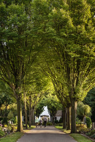 Ev. Friedhof Duisburg Marxloh, Foto: Andreas Reinsch