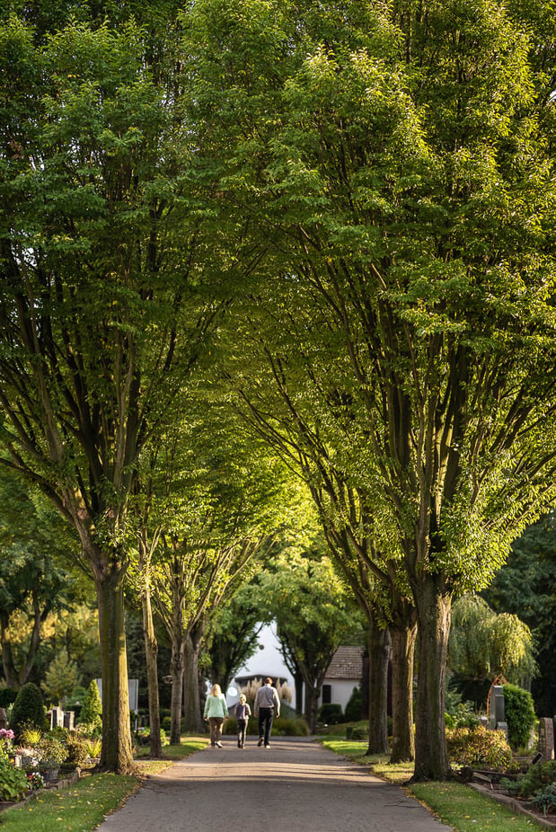 Ev. Friedhof Duisburg Marxloh, Foto: Andreas Reinsch