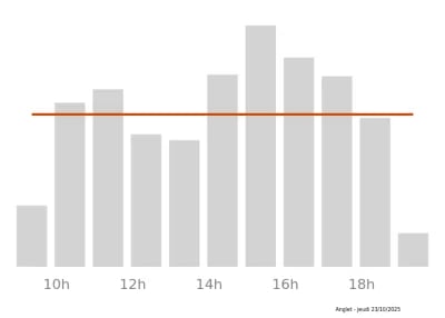 Voir le trafic sur Google maps https://maps.google.com/maps?cid=10200666423972516261