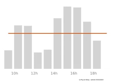 Voir le trafic sur Google maps https://maps.google.com/maps?cid=15194922356643390720