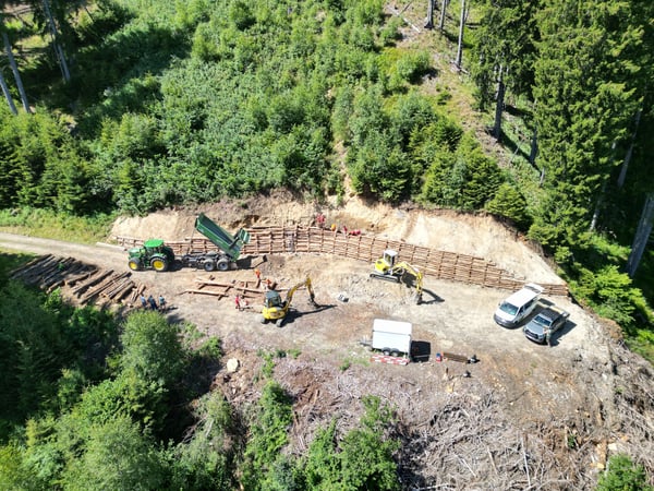Lavori forestali