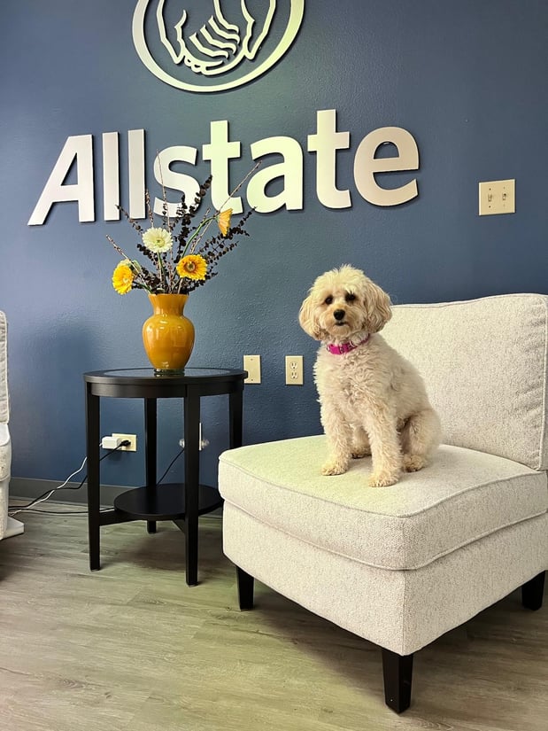 We are Pet Friendly