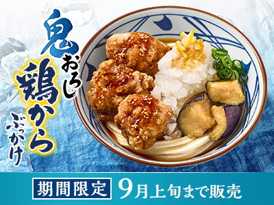 夏はやっぱり、鬼おろし！